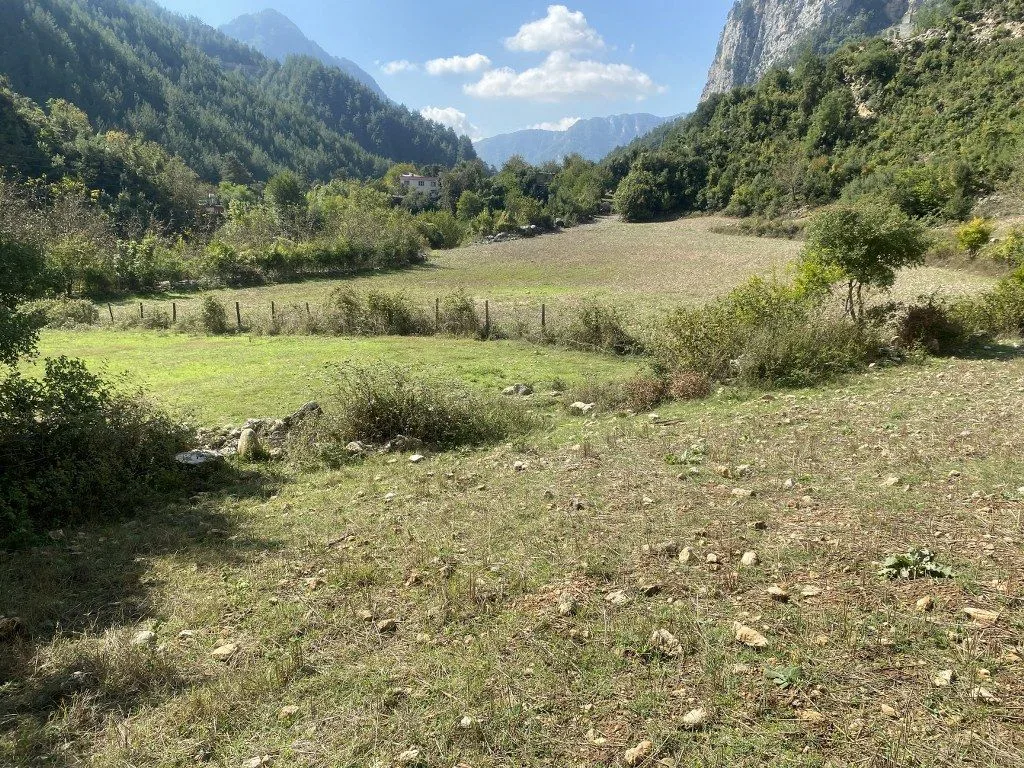 DÜZİÇİNDE ARSA ,EV YAYLALIK, ÇİFLİK OLACAK