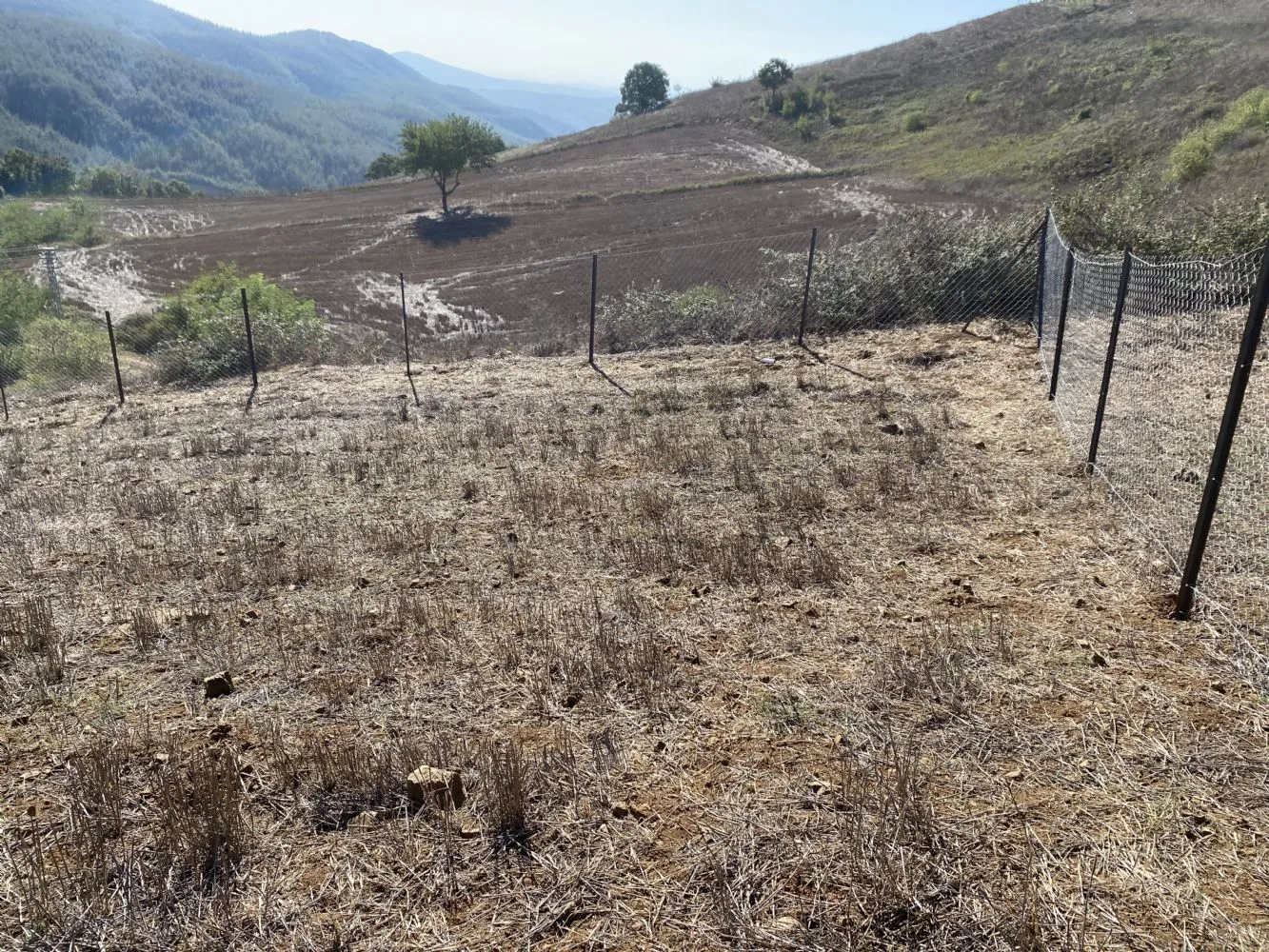 DÜZİÇİ SÖĞÜTÜ GÖLDE 700 M2 AZP