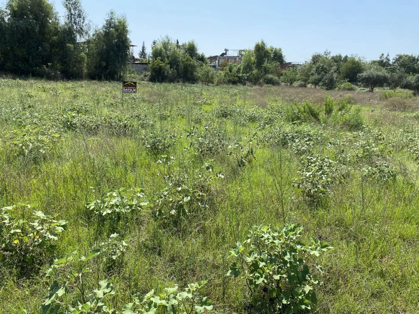 BOSTANLARDA KÖY İÇİNDE 2130 m2 UYGUN