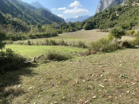 DÜZİÇİNDE ARSA ,EV YAYLALIK, ÇİFLİK OLACAK