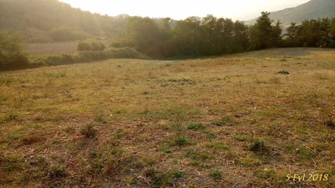 DÜZİÇİNDE ÇOK UYGUN 1721 M2