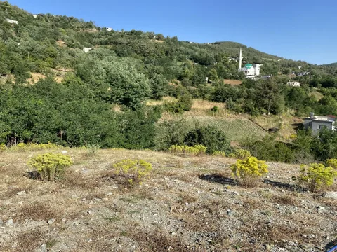 DÜZİÇİ SÖĞÜTLÜ ÖL MERKEZDE UYGUN